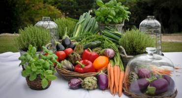 Vegan catering for your French Riviera event